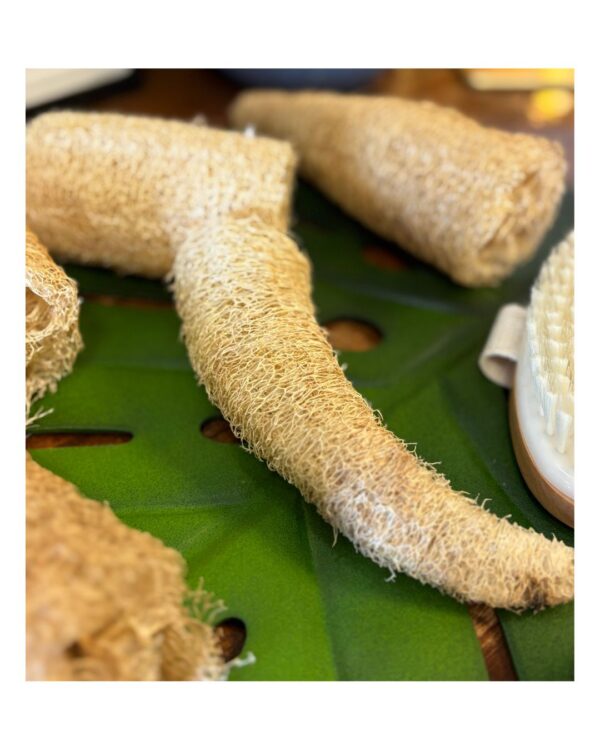 Loofah (Locally Grown)