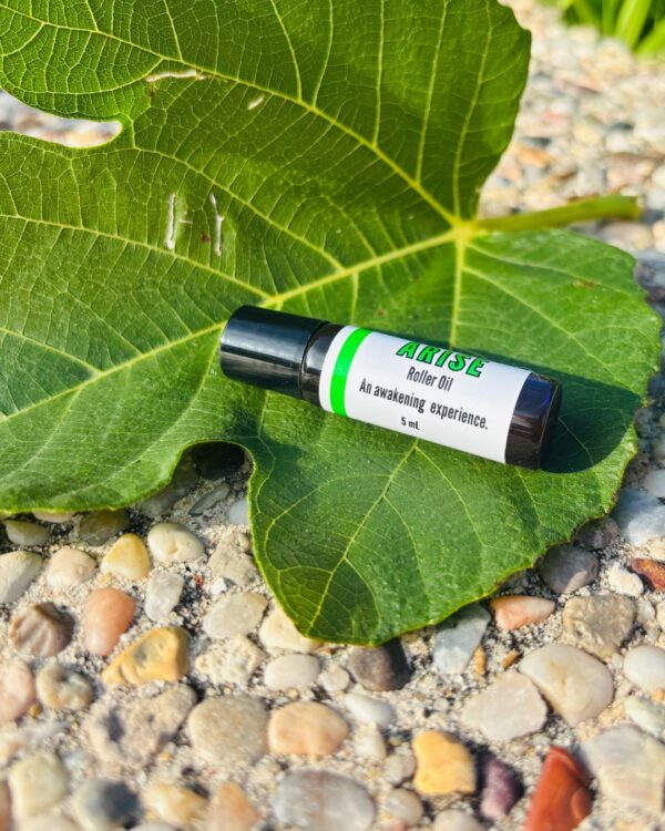 Arise Roller Oil - Image 2